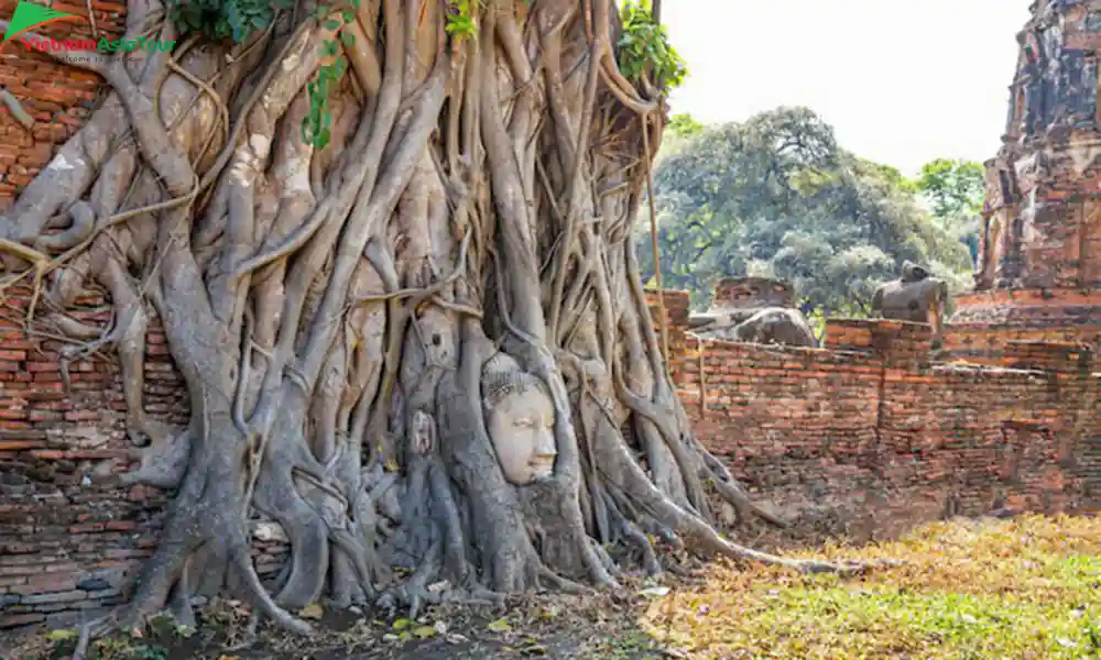 La estatua de cabeza de Buda en Wat Phra Mahathat