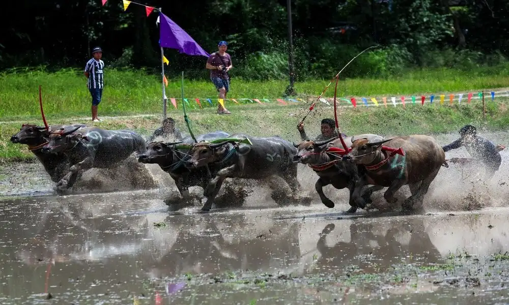 Las actividades en fiestas Tailandia