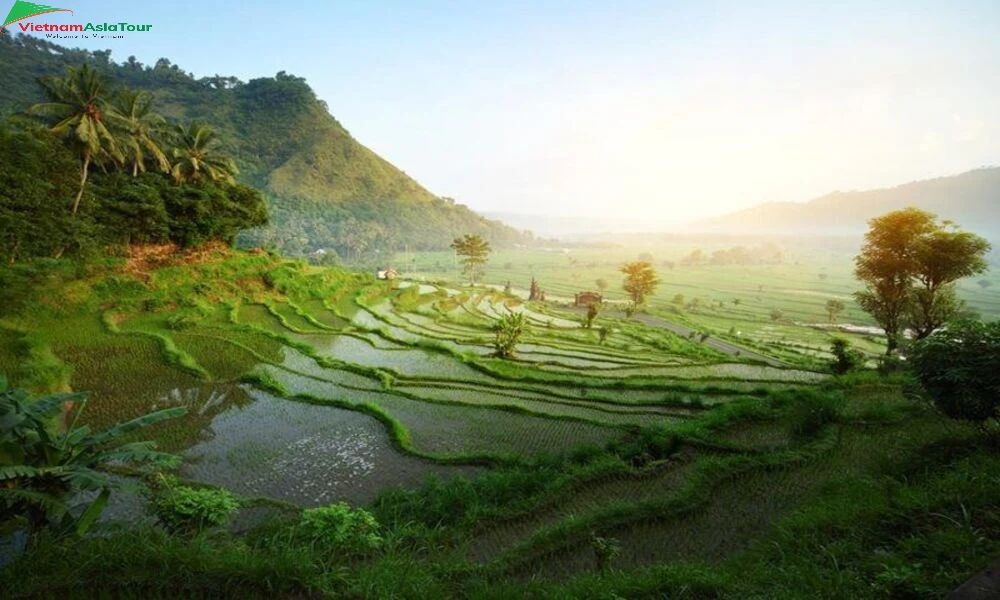 Descubrir el clima Indonesia