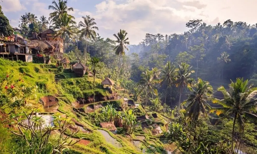 Estación seca en Indonesia
