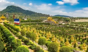 Explorar los consejos neccesarios