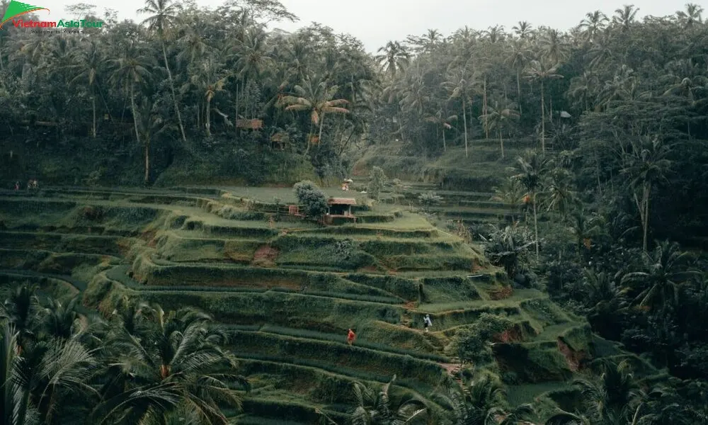 La temporada de lluvias Indonesia