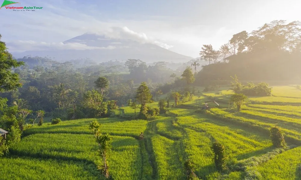 La temporada de seca Indonesia