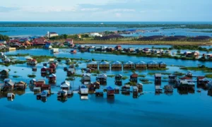 Explorar naturaleza de Tonle Sap