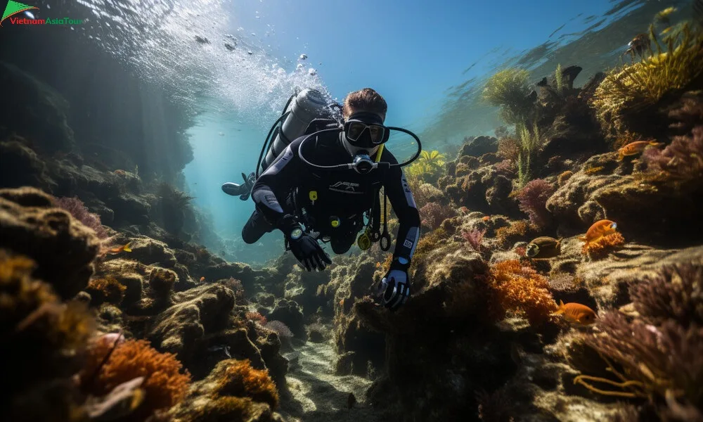 Explorar el mundo submarino