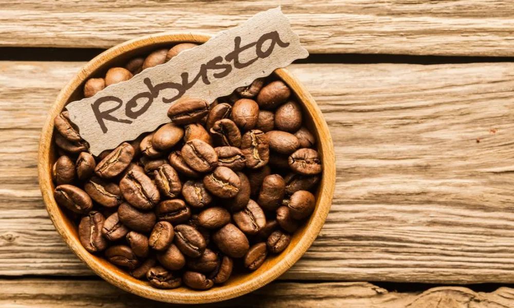 Granos de café Robusta