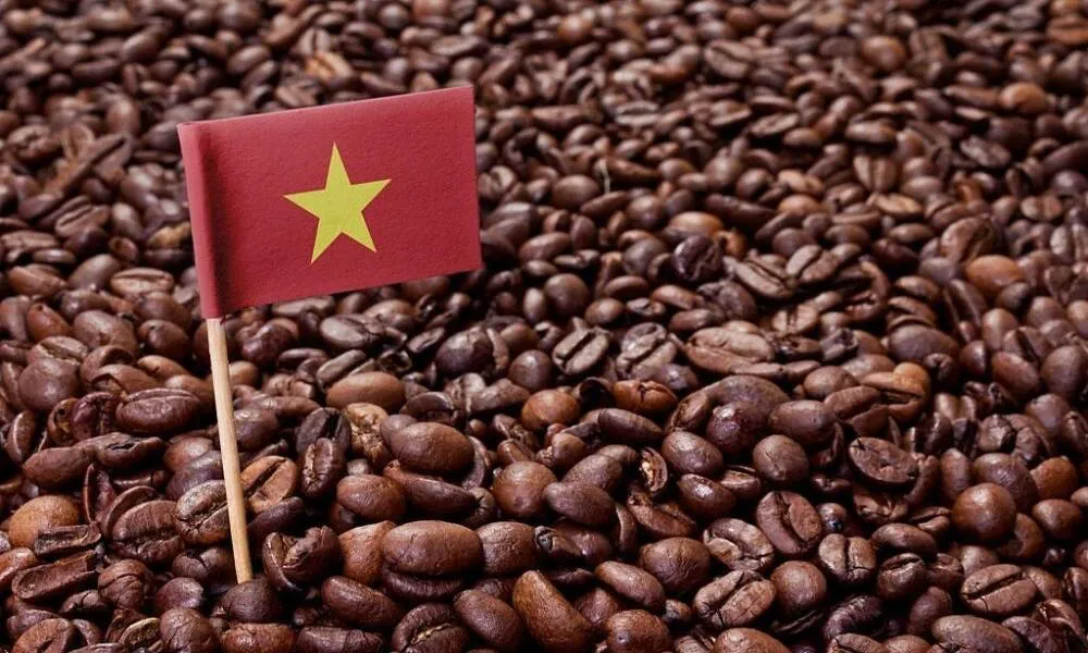 Granos de café en Vietnam