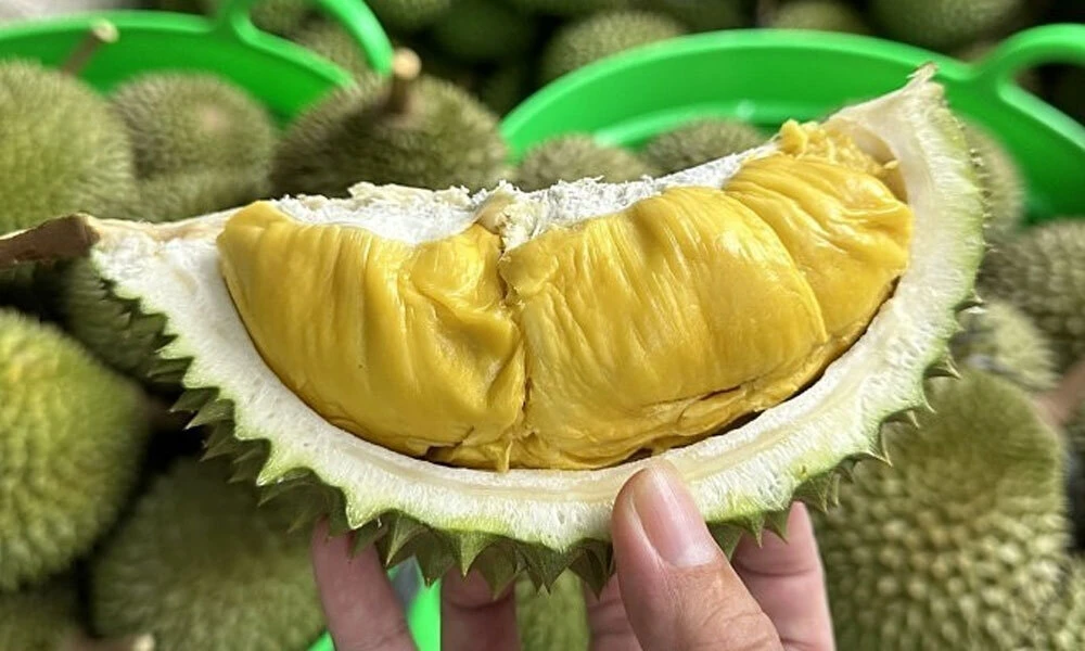 Durian - Fruta muy deliciosa