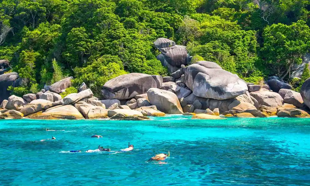 Experimentar snorkel en Koh Tao