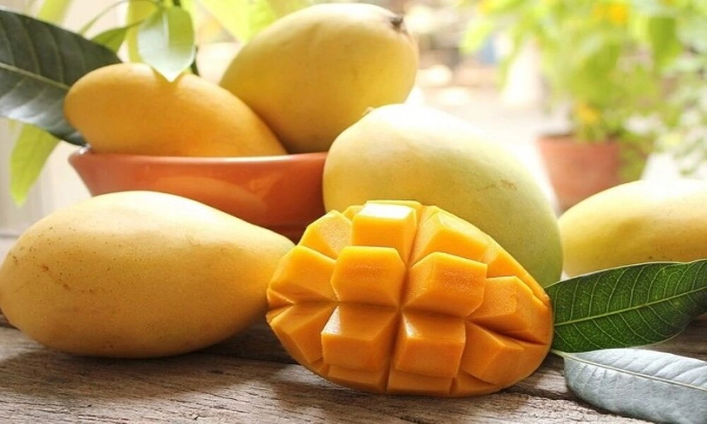 Fruta Mango