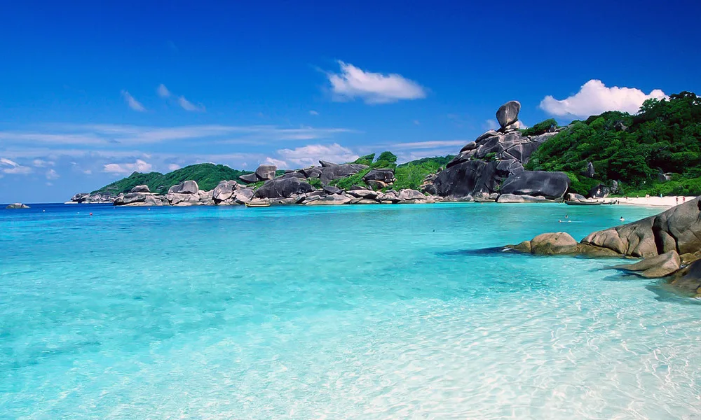 Isla monos en tiempo favorable