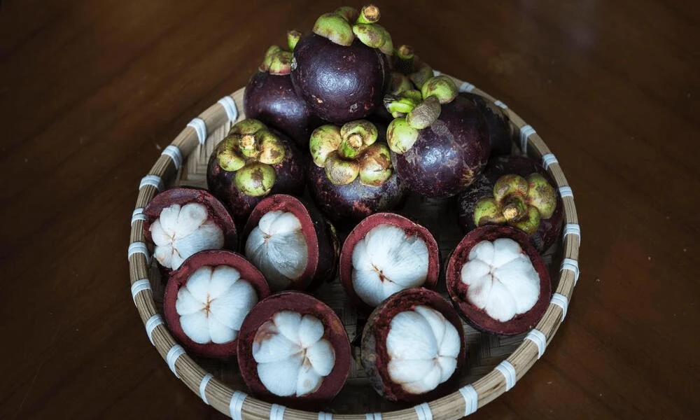 Mangostan - Fruta apreciada