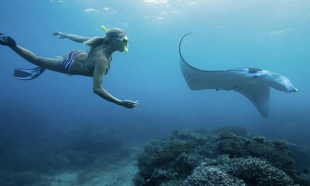 Bucear en Bali