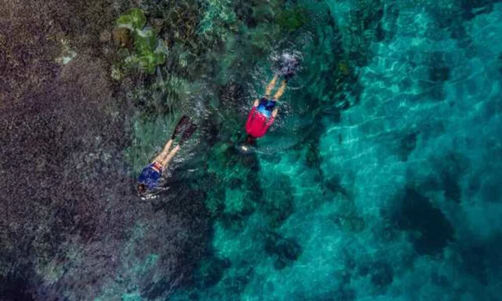 Bucear y hacer snorkel