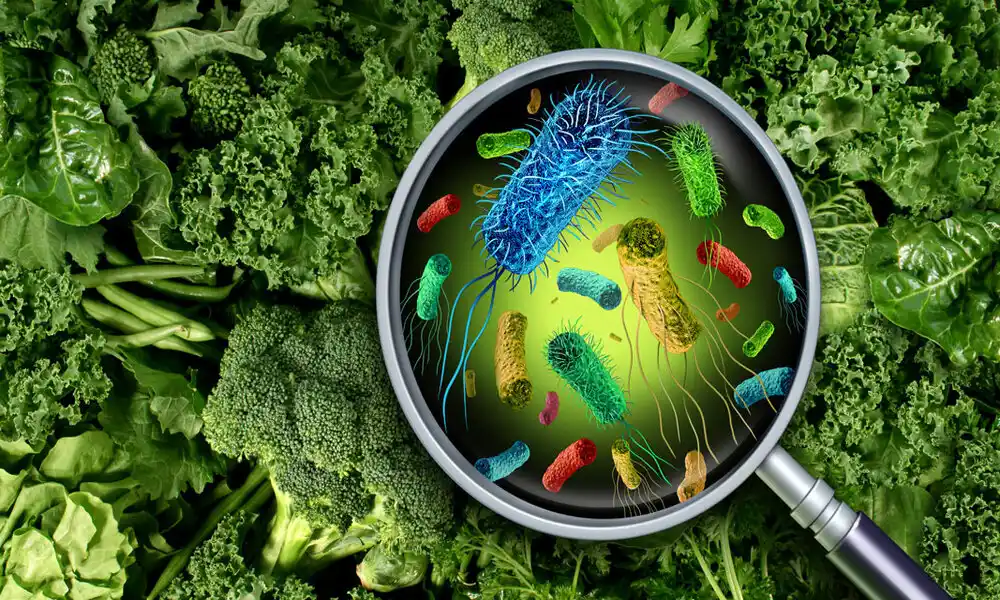 Comidas contaminadas