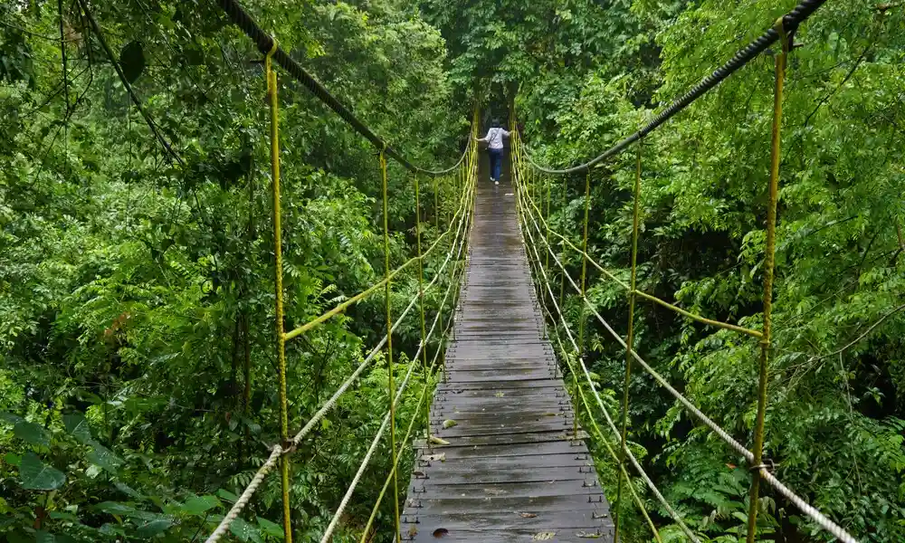 Parque Nacional de Kutai - Indonesia