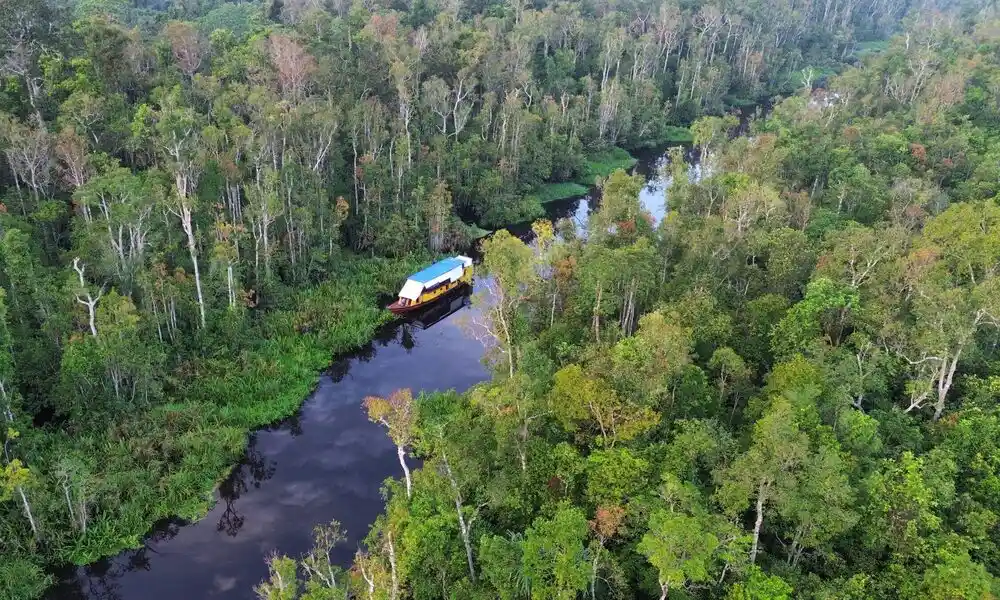 Parque Nacional de Tanjung Puting