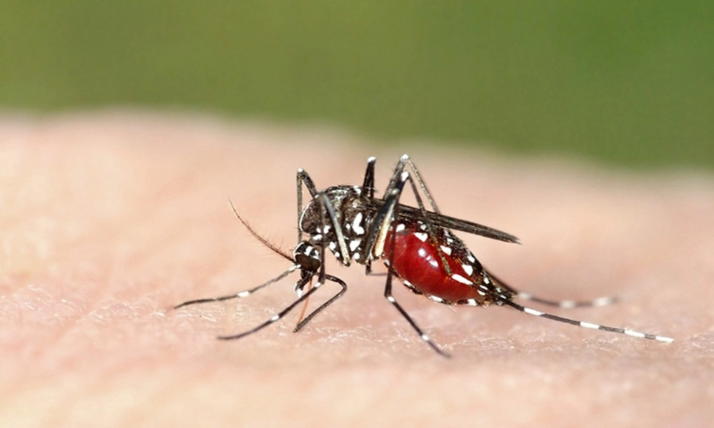 Riesgos de malaria