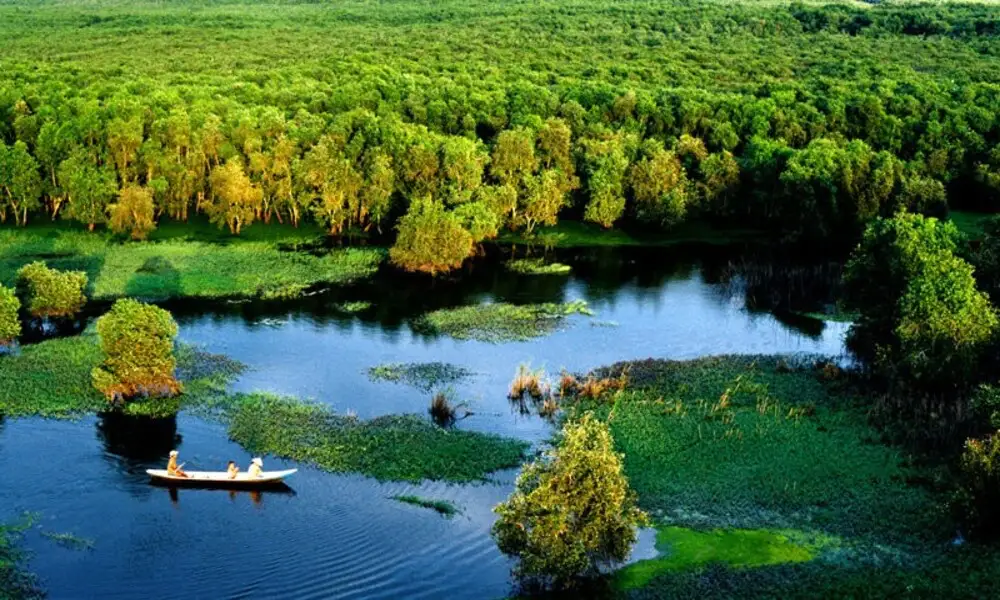 Paisaje auténtico y único del sur de Vietnam
