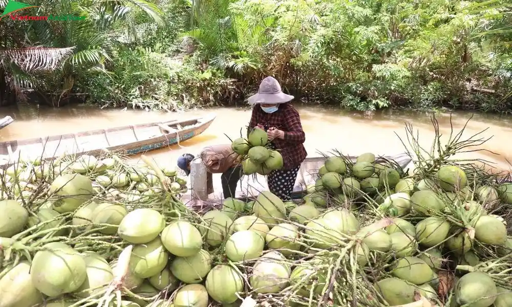Visita a una fábrica de productos de coco