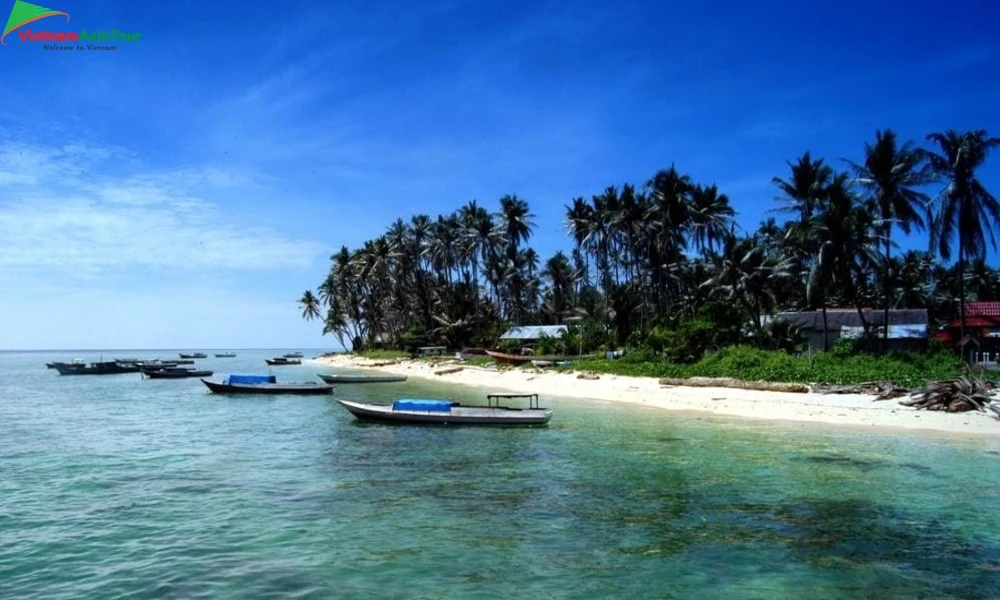 Kalimantan - Isla de Borneo