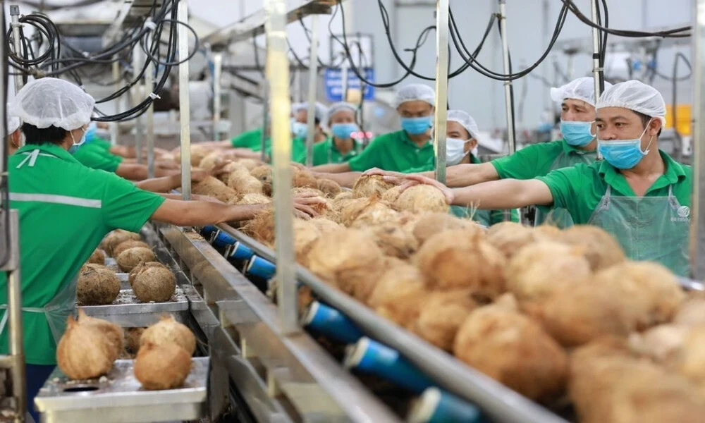 Visitar a una fábrica de productos de coco