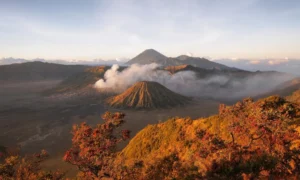 Exploración de la isla de Java