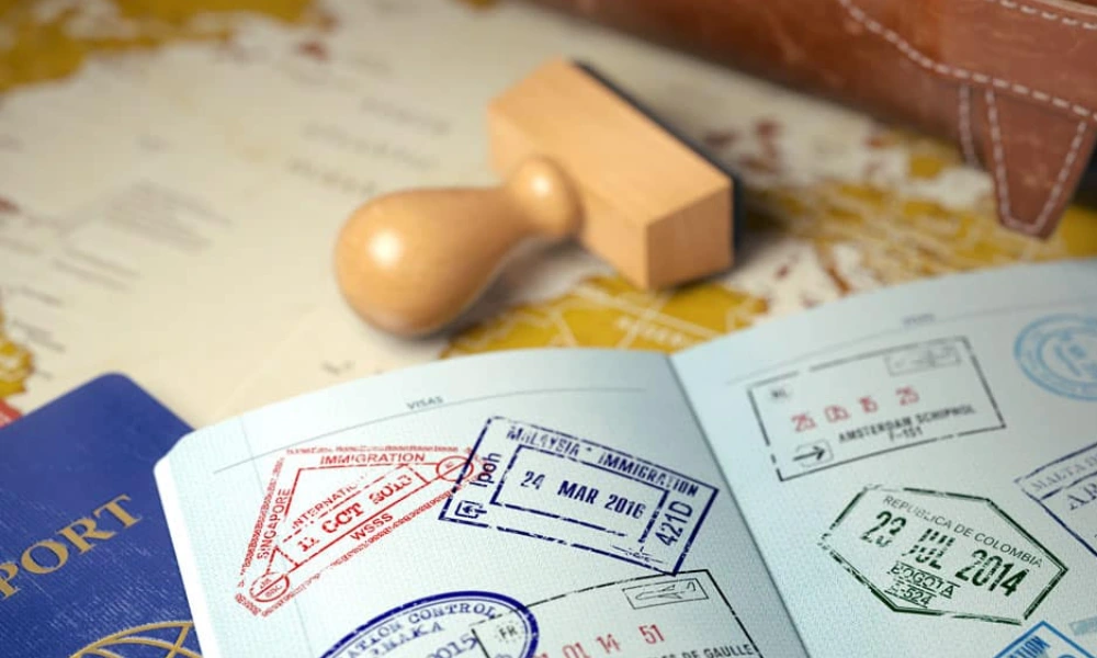 La escencia de visdao