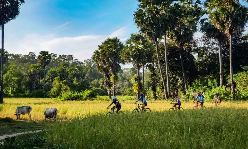 Explora la campiña camboyana