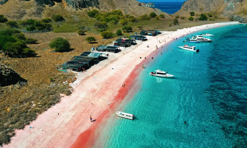 Toda la vista de las playas de arena rosa