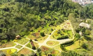 Montaña Ham Rong