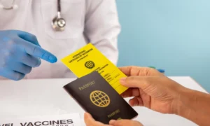 Prepara los documentos necesarios de vacunación