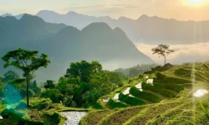 Pu Luong
